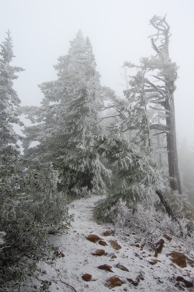 Photo from PCT to Herman Creek -Nick Eaton ridge to Indian Point