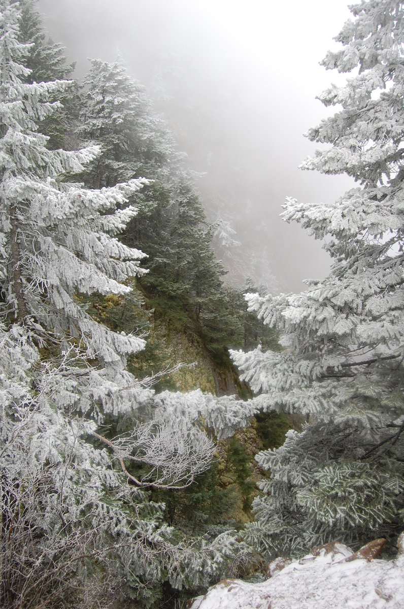 Photo from PCT to Herman Creek -Nick Eaton ridge to Indian Point