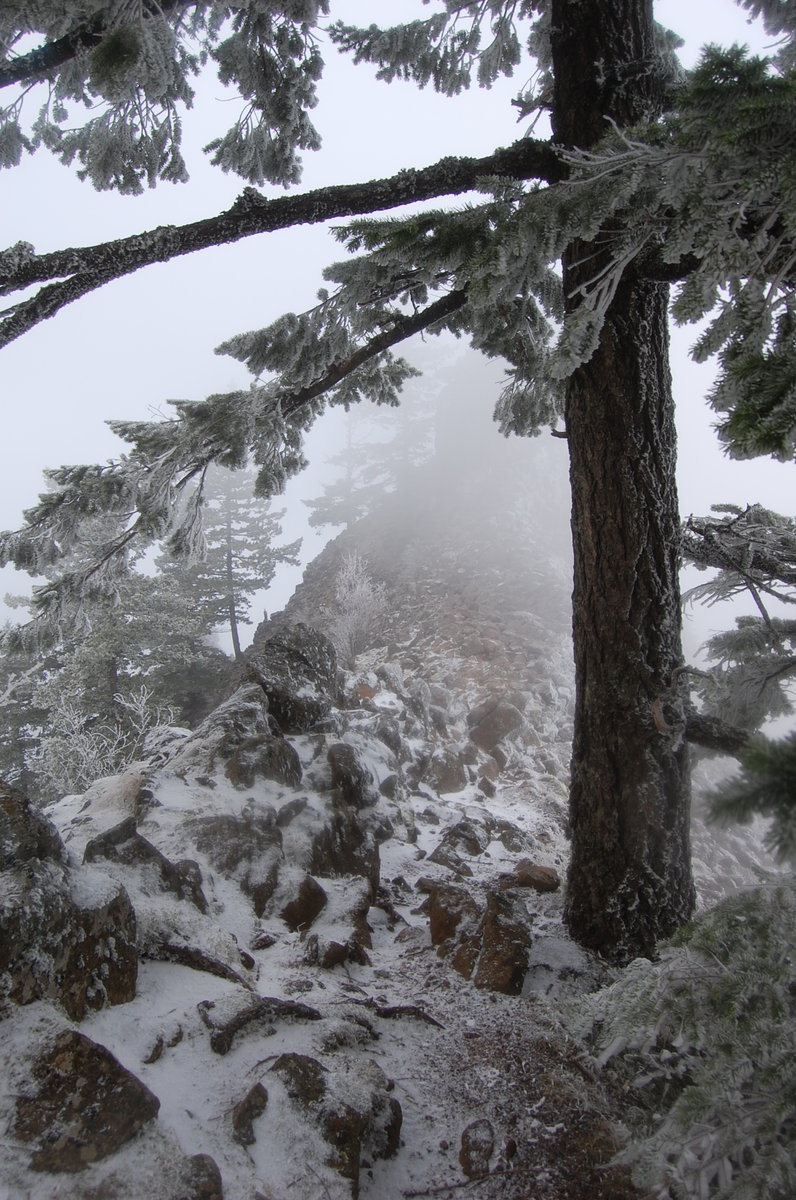 Photo from PCT to Herman Creek -Nick Eaton ridge to Indian Point