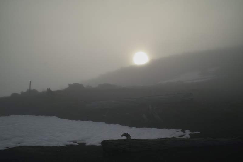 Foggy morning.