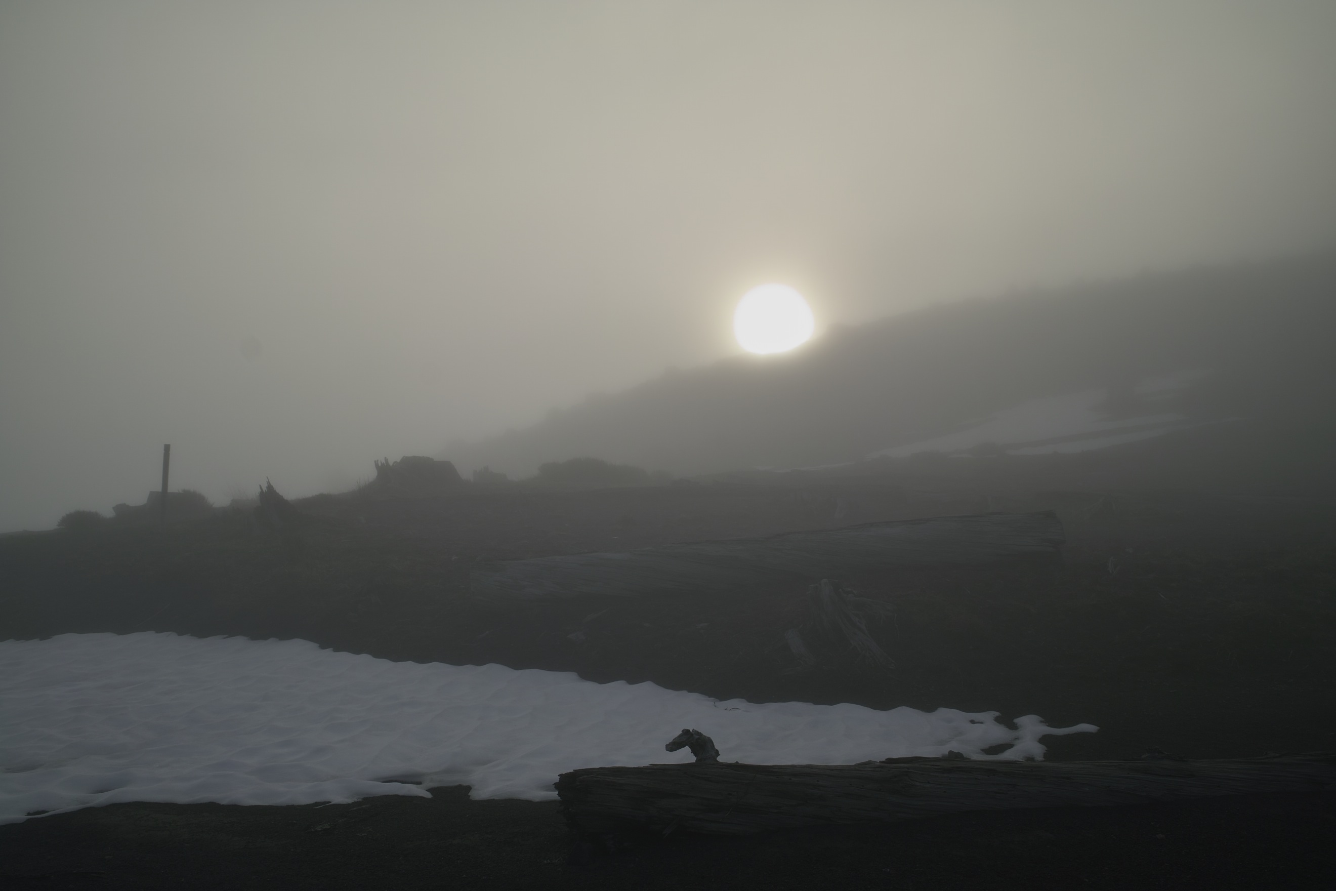 Foggy morning.