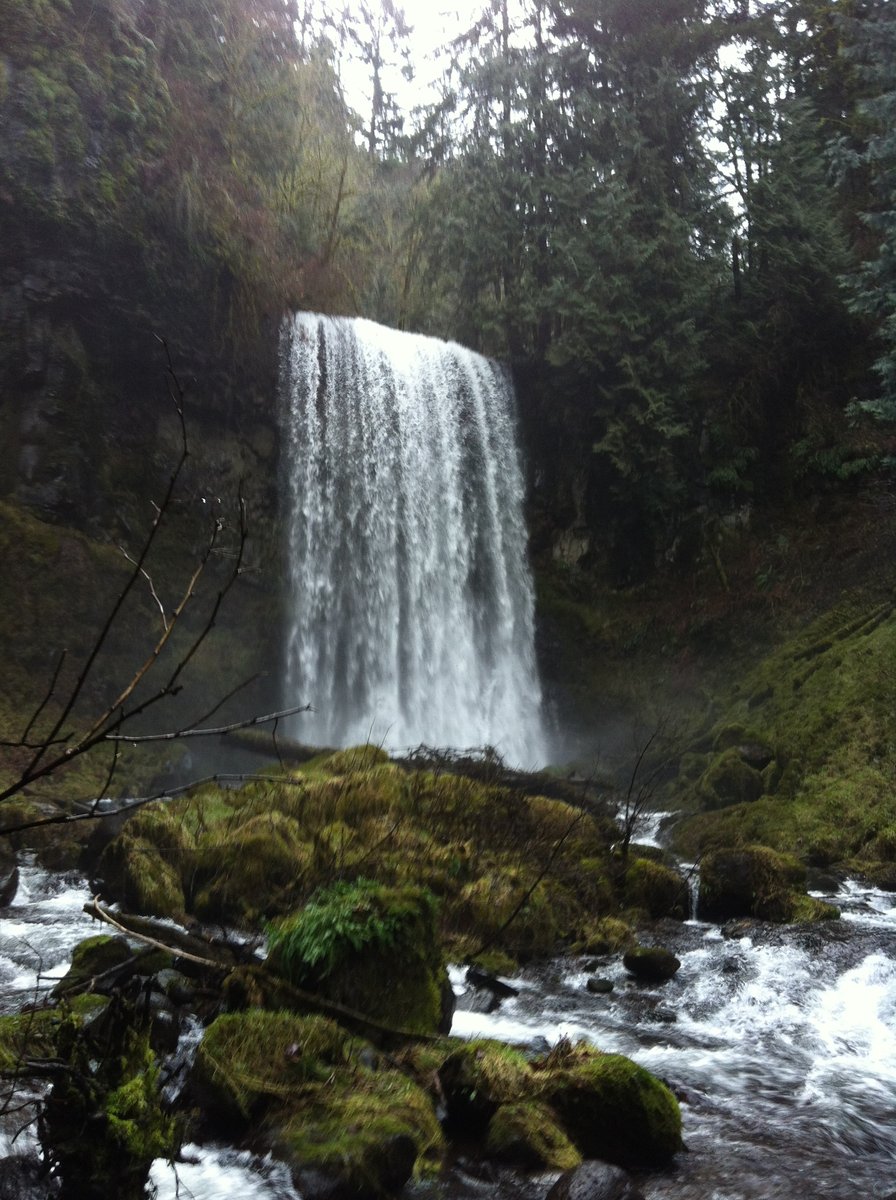 Photo from One off trail and one lost trail