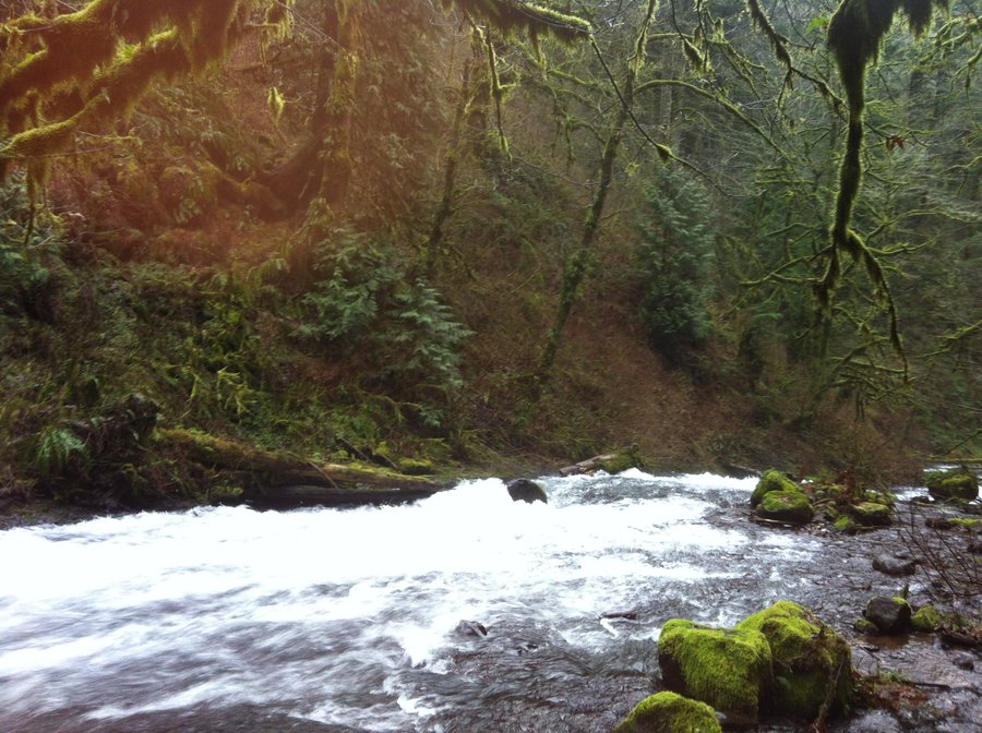 Photo from One off trail and one lost trail