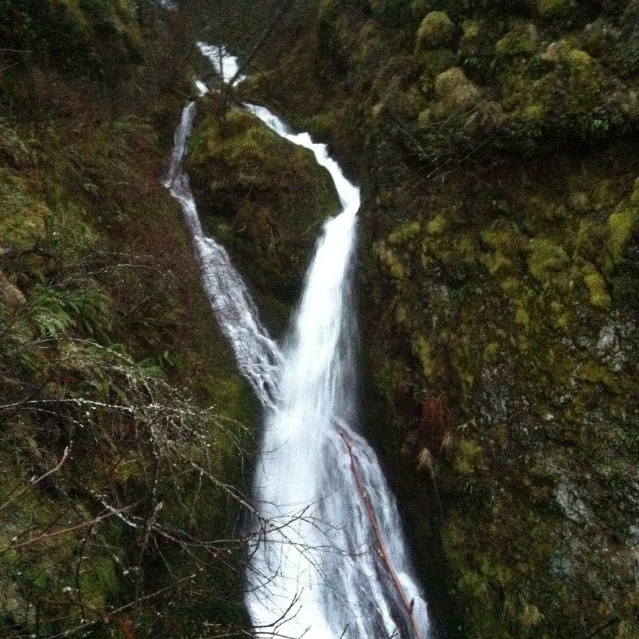 Photo from One off trail and one lost trail
