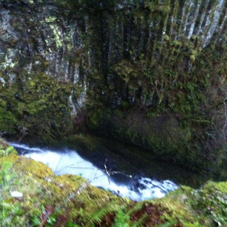 Photo from One off trail and one lost trail