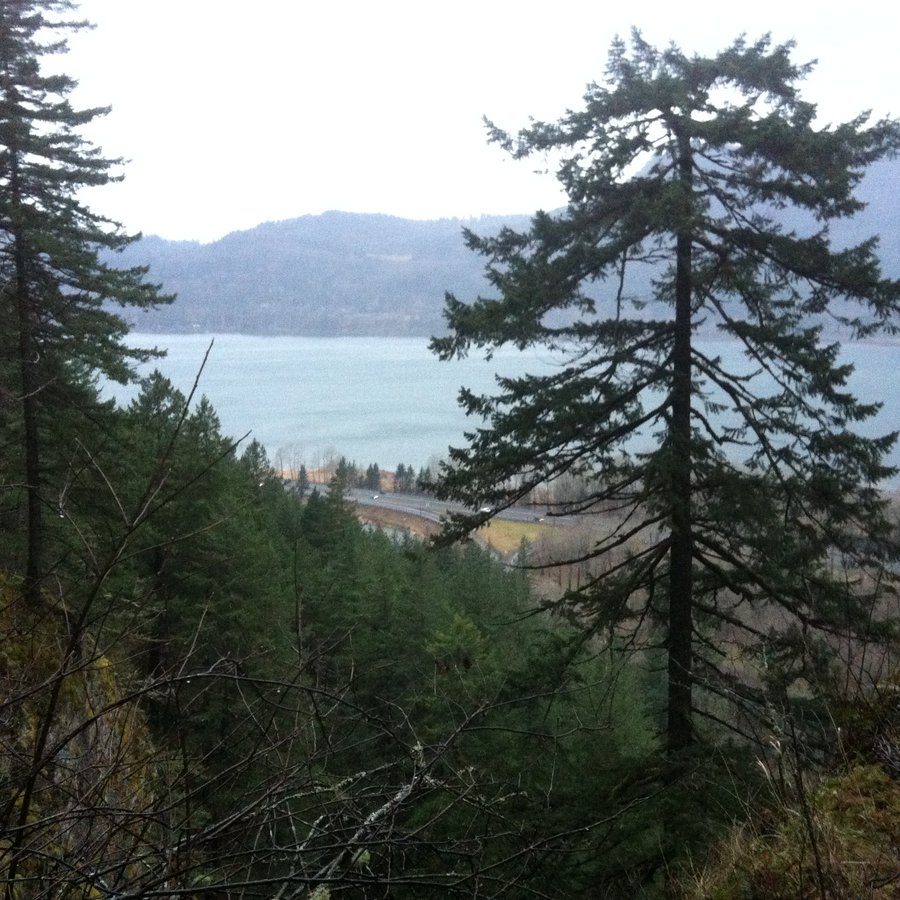 Photo from One off trail and one lost trail
