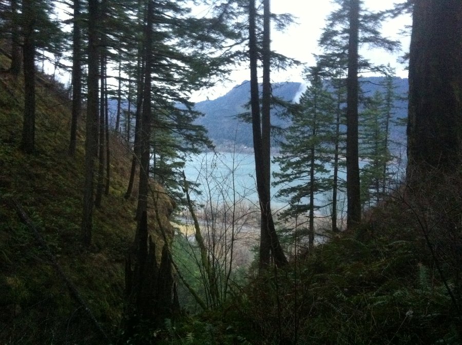 Photo from One off trail and one lost trail