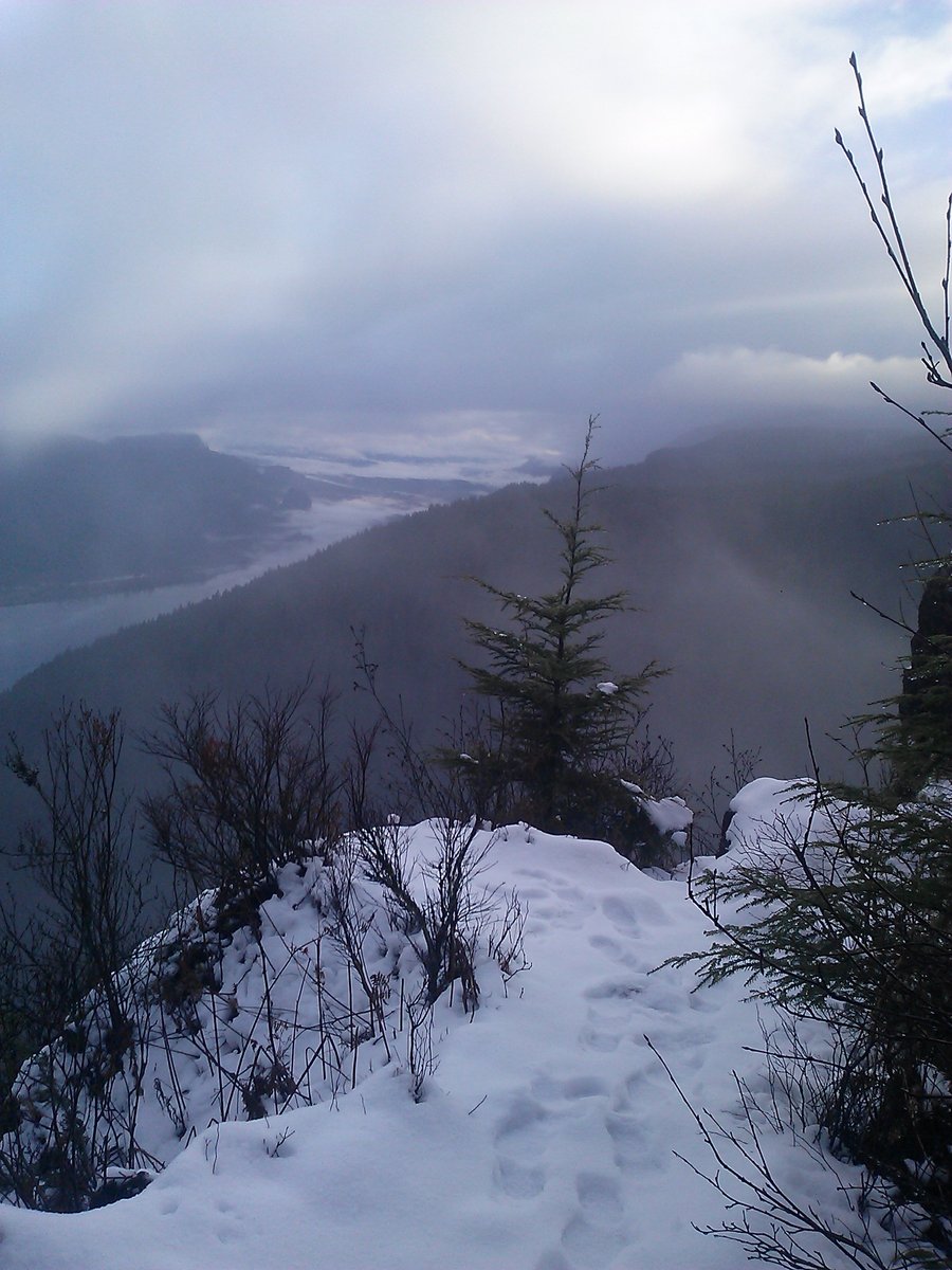 Photo from Angels Rest to Horsetail Creek Trail/ Bell Creek Trail interesection