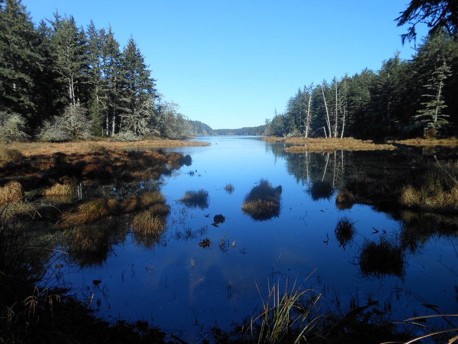 Photo from Coffenbury Lake