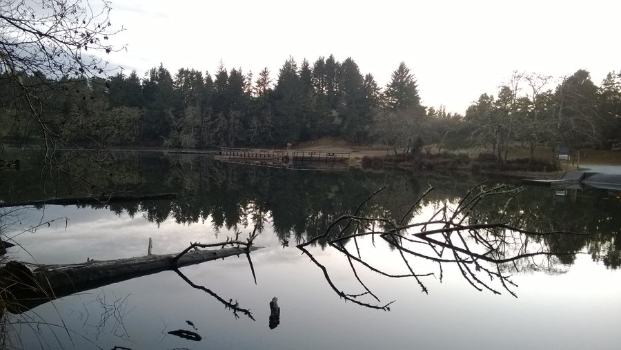 Photo from Coffenbury Lake