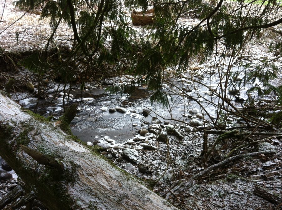 Photo from Butler Creek Greenway