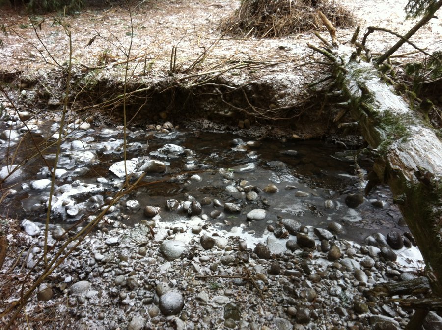 Photo from Butler Creek Greenway