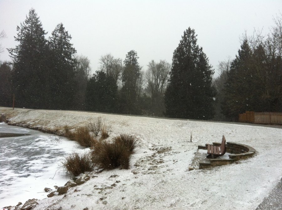 Photo from Butler Creek Greenway