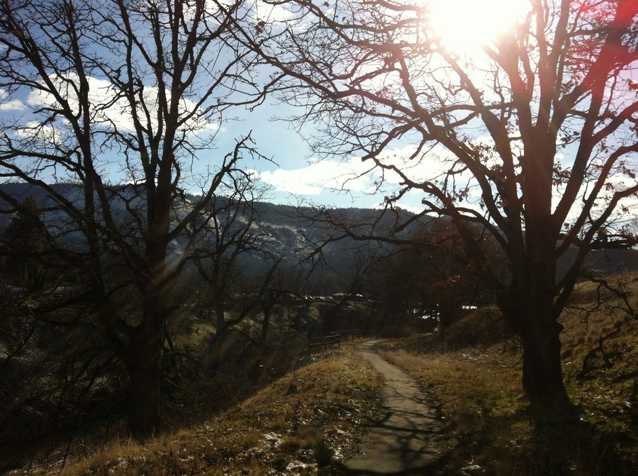 Photo from Klickitat River