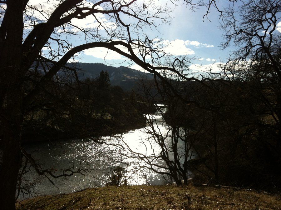 Photo from Klickitat River