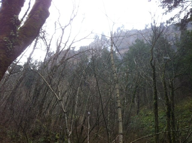 Photo from Mist Falls