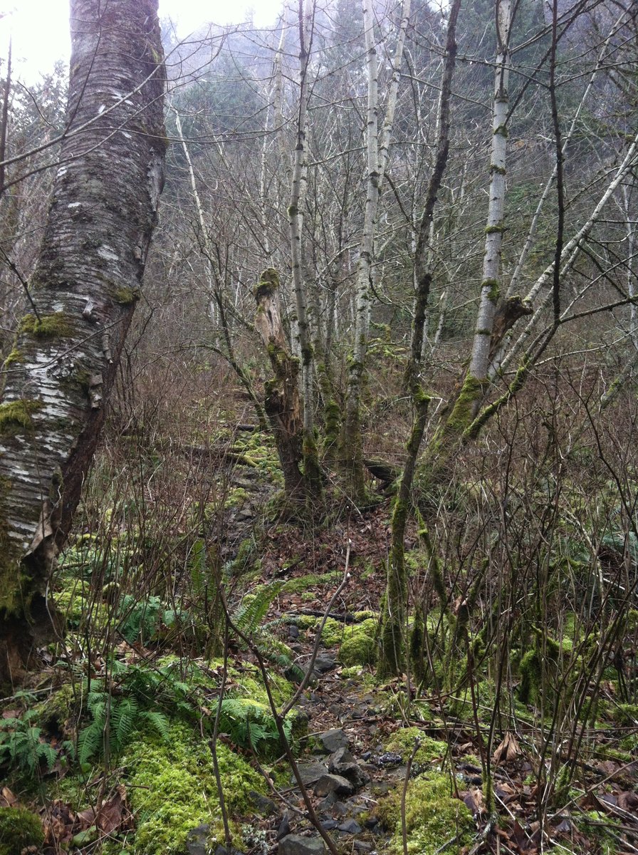 Photo from Mist Falls