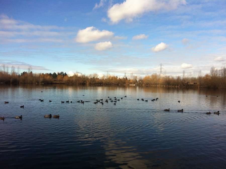 Photo from Salish Ponds