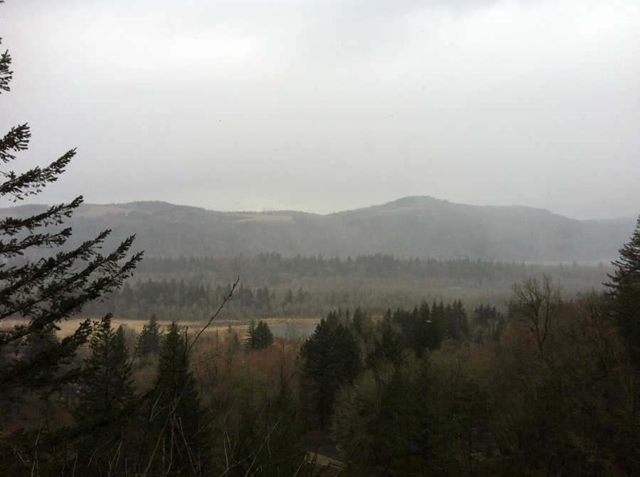 Photo from Latourell Falls