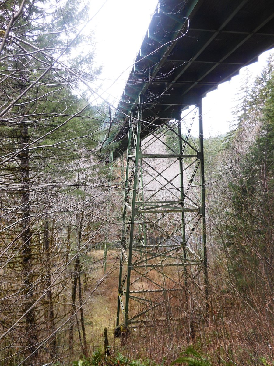 Photo from Storey Burn Loop