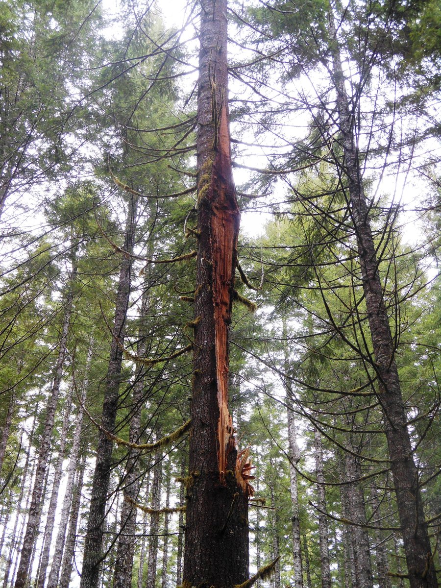 Photo from Storey Burn Loop