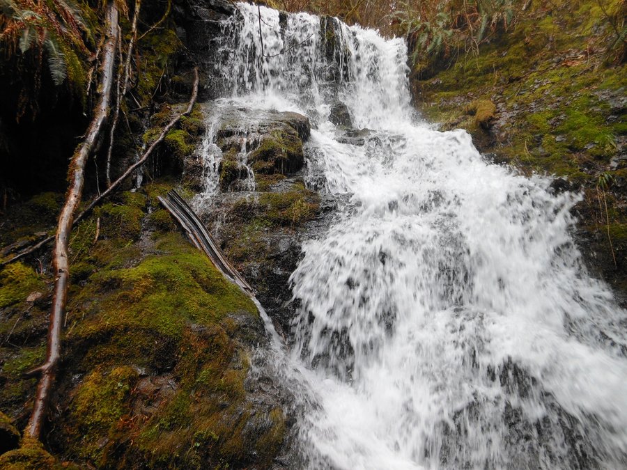 Photo from Storey Burn Loop