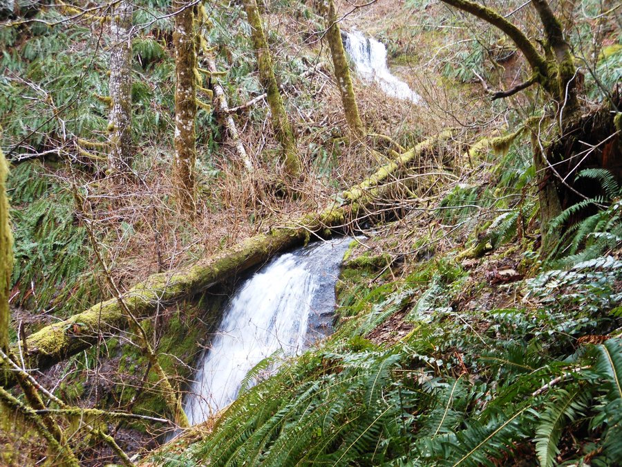 Photo from Storey Burn Loop