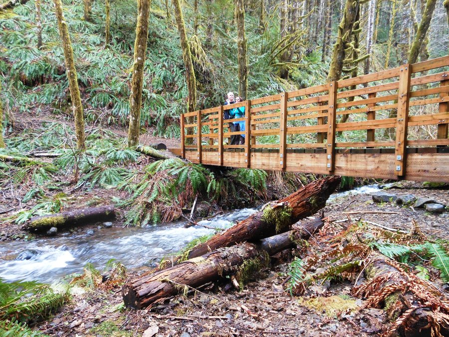 Photo from Storey Burn Loop