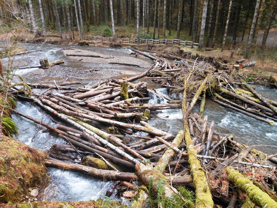 Photo from Storey Burn Loop