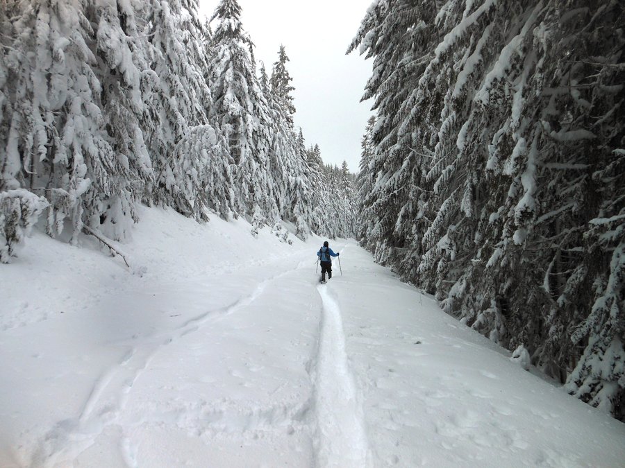 Photo from Buzzard Point Trail