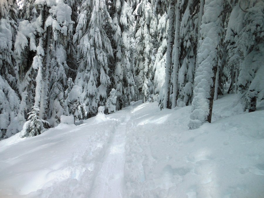 Photo from Twin Lakes Short Hike