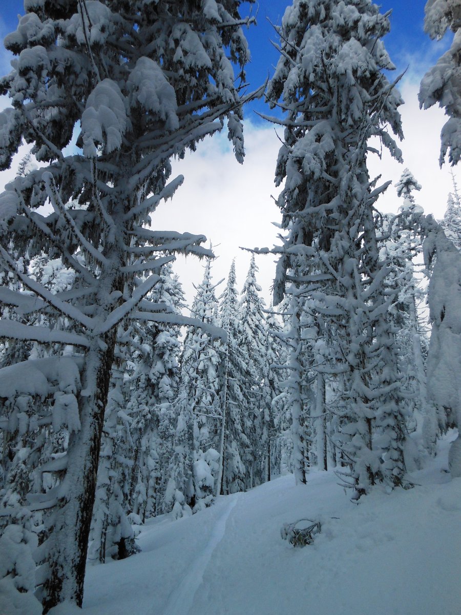 Photo from Twin Lakes Short Hike