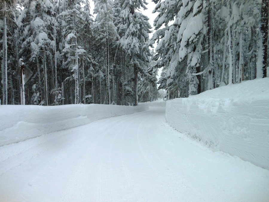 Photo from Buzzard Point Trail