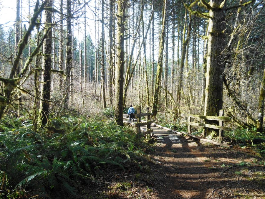 Photo from Bells Mountain from Cold Creek Campground