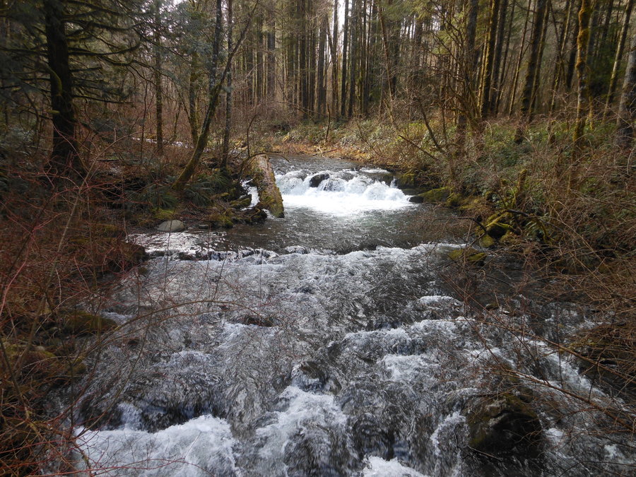 Photo from Bells Mountain from Cold Creek Campground