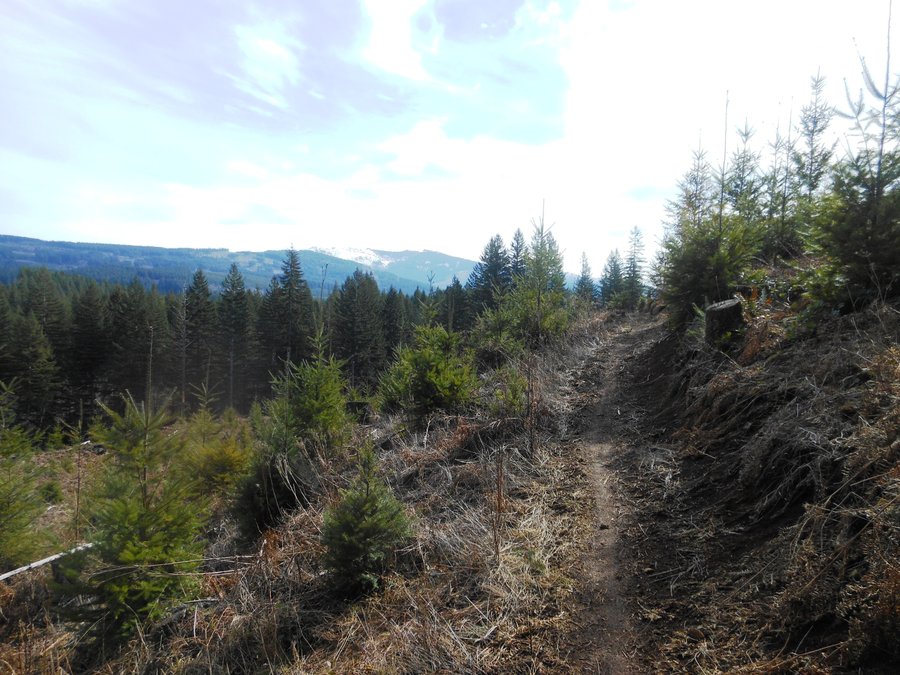 Photo from Bells Mountain from Cold Creek Campground