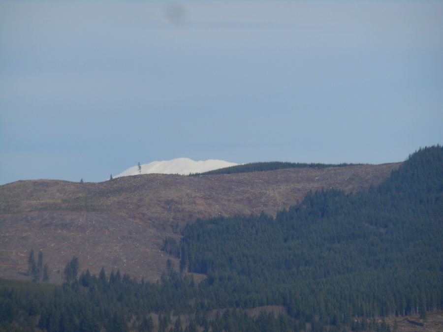Photo from Bells Mountain from Cold Creek Campground