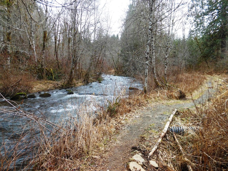 Photo from Bells Mountain from Cold Creek Campground