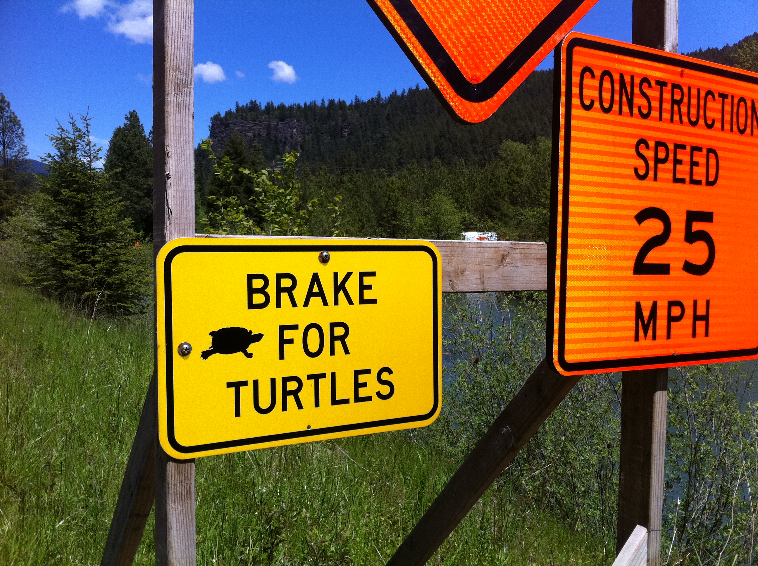 best sign cluster ever