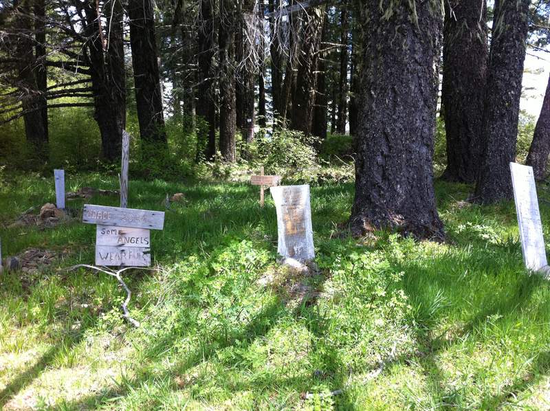 pet cemetery