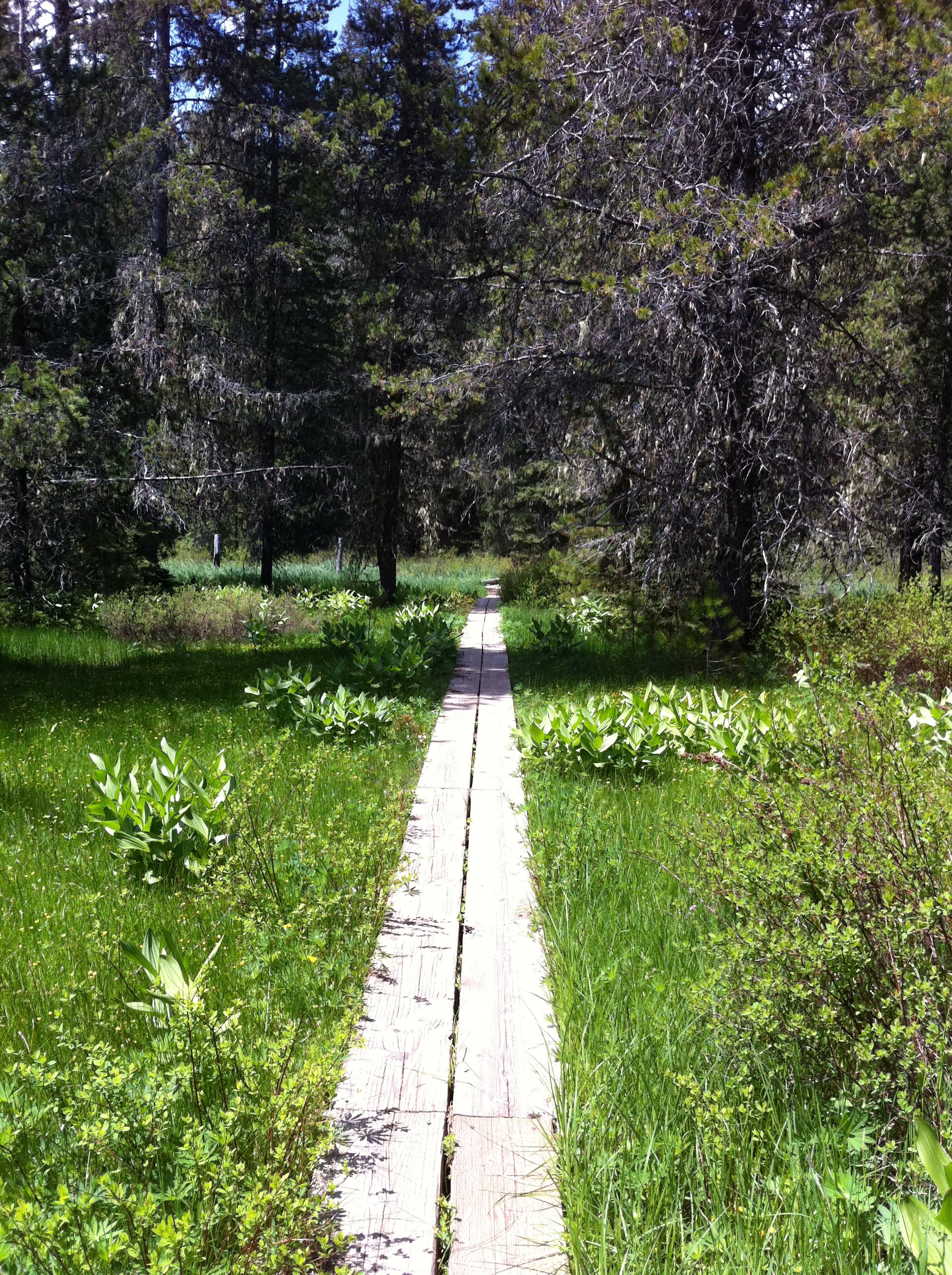 boardwalk to pct
