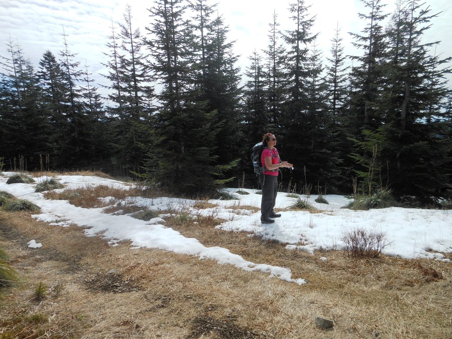 Photo from Silver Star, Grouse Vista Loop