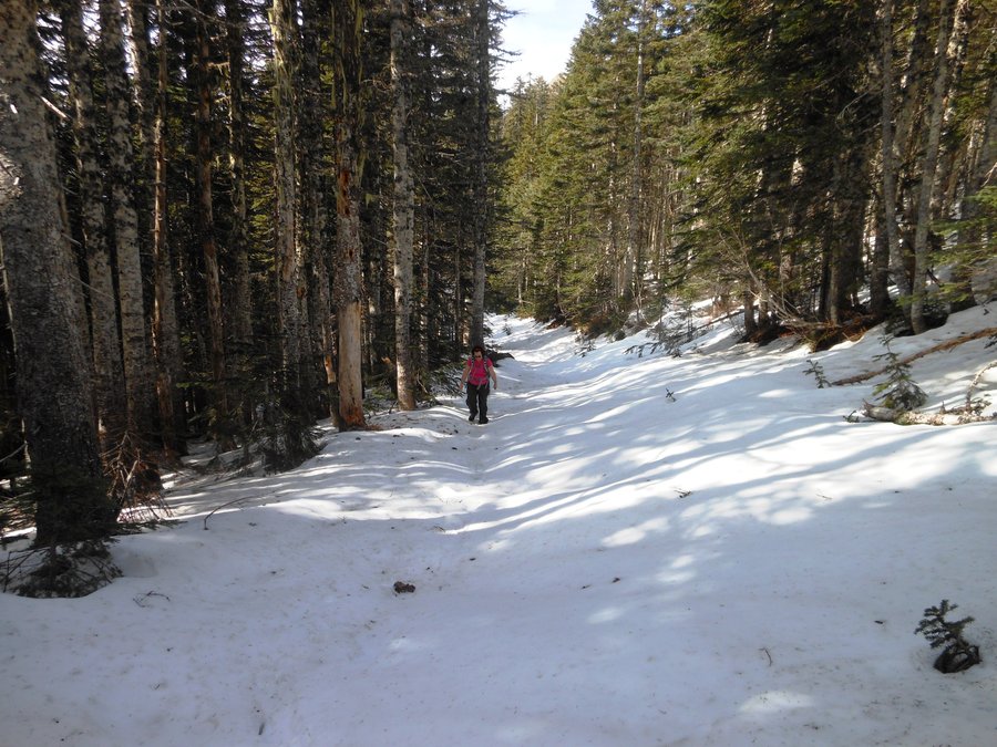 Photo from Silver Star, Grouse Vista Loop