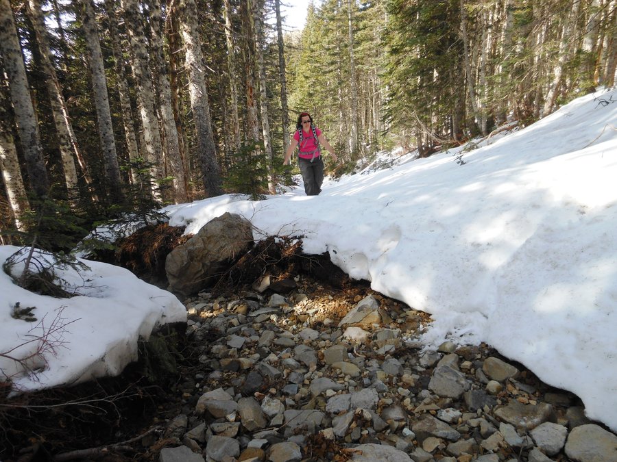 Photo from Silver Star, Grouse Vista Loop