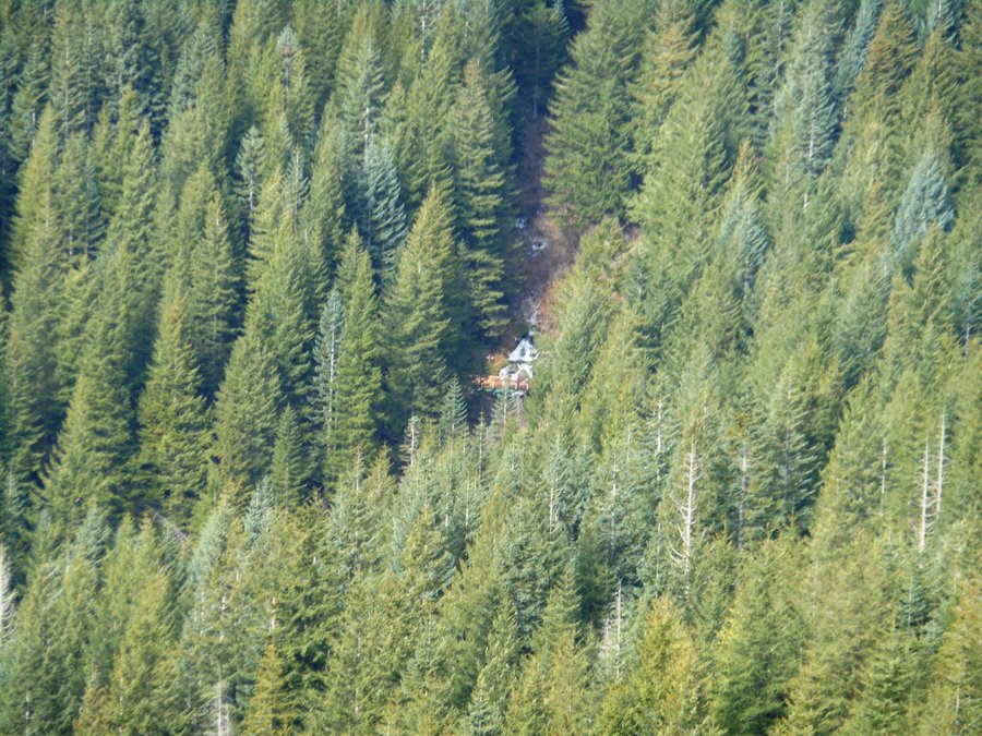 Photo from Silver Star, Grouse Vista Loop