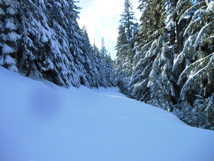 Photo from Buzzard Point / Wagon Route Loop Snowshoe