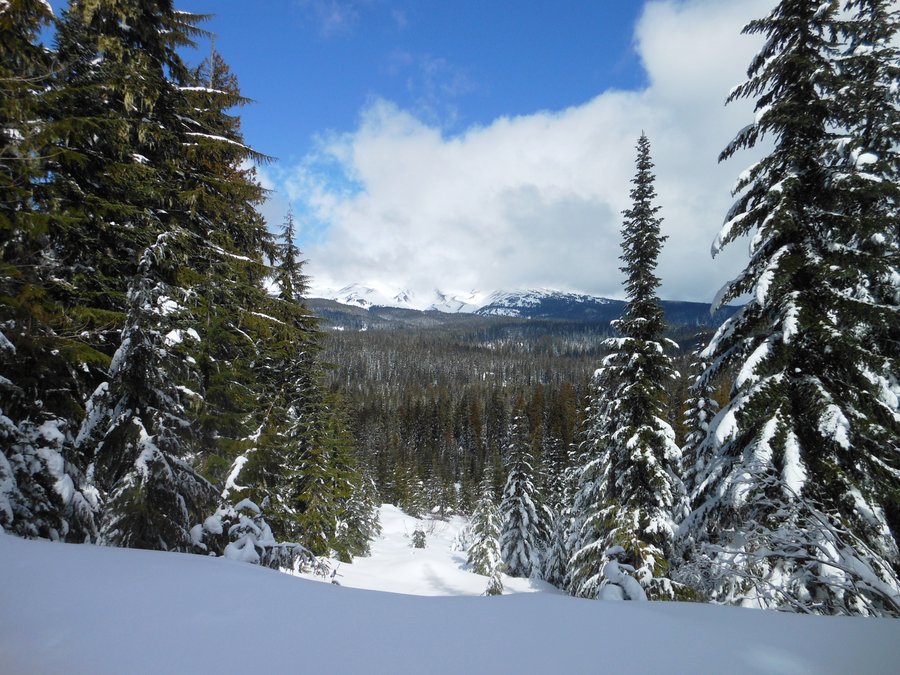 Photo from Buzzard Point / Wagon Route Loop Snowshoe