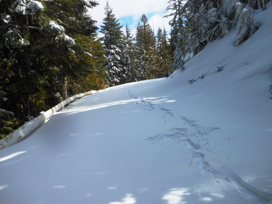 Photo from Buzzard Point / Wagon Route Loop Snowshoe