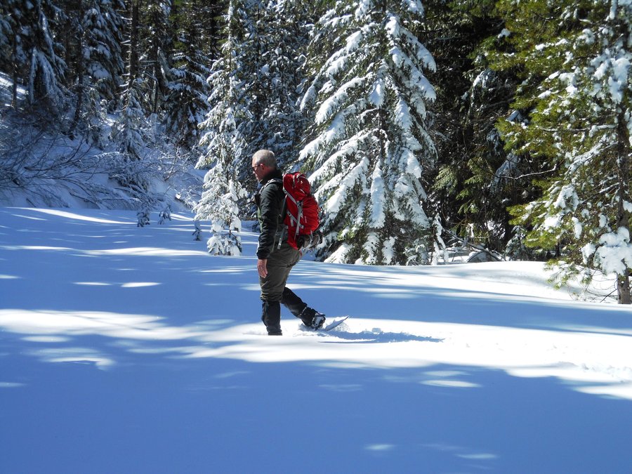 Photo from Buzzard Point / Wagon Route Loop Snowshoe