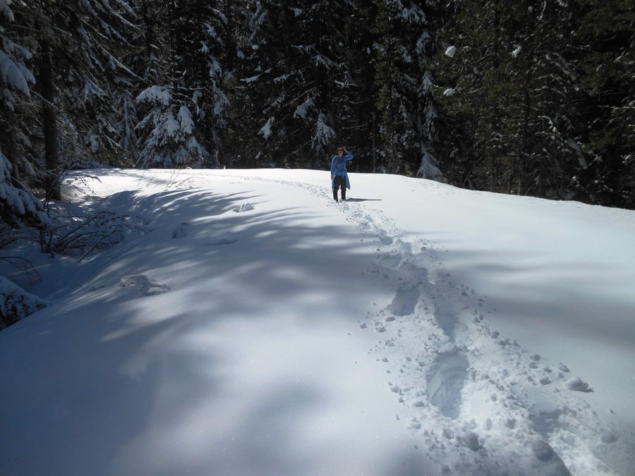 Photo from Buzzard Point / Wagon Route Loop Snowshoe